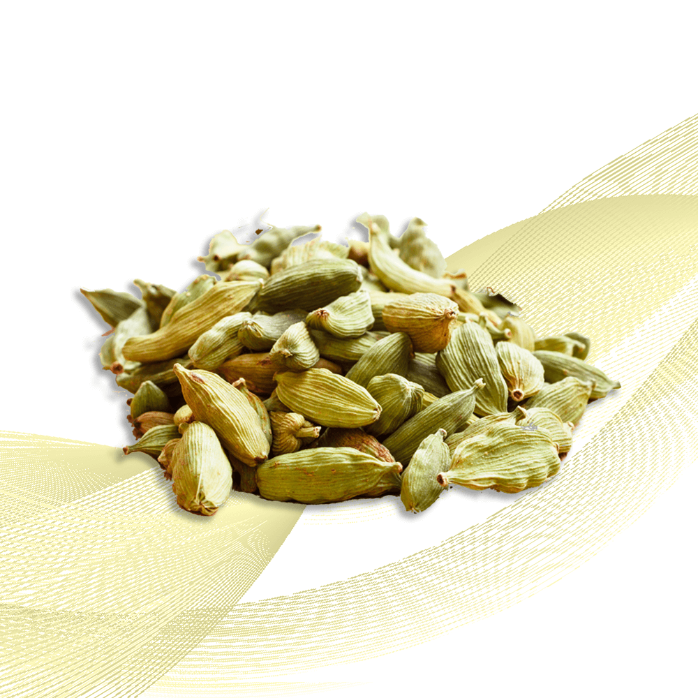 Cardamom