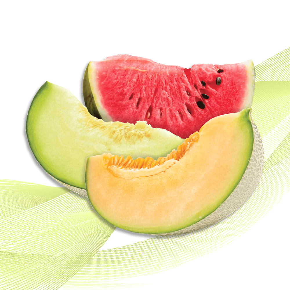 Melon Splash