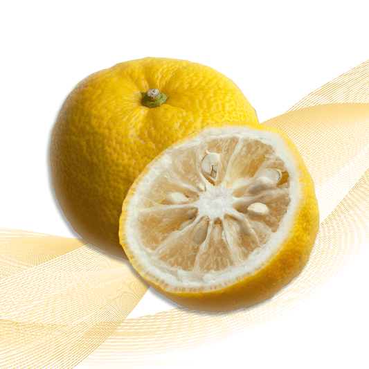 Yuko Citrus Japan