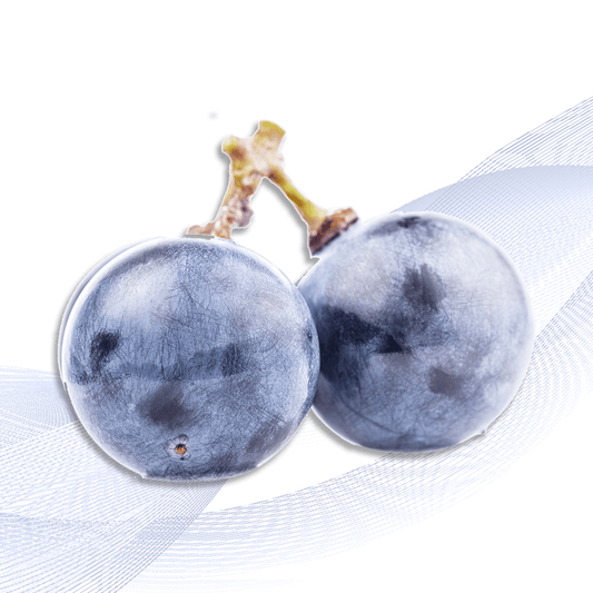 Hokkaido Grape