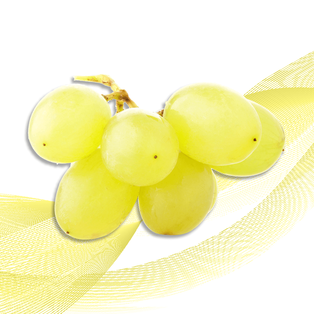 New Zealand Green Grape