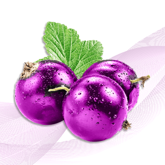 Ultra Violet Berry
